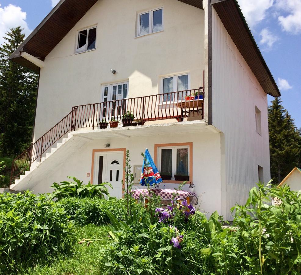 Aprartman Nikola Appartement Žabljak Buitenkant foto